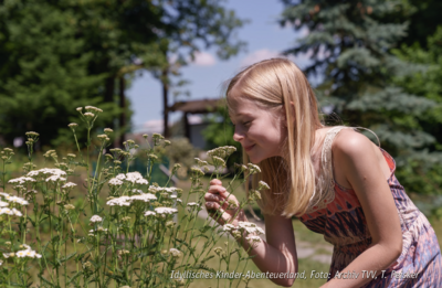 Idyllisches Kinder-Abenteuerland (Foto: Archiv TVV, T. Peisker)